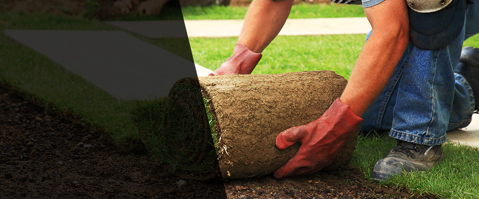 Ruther Glen Landscapers